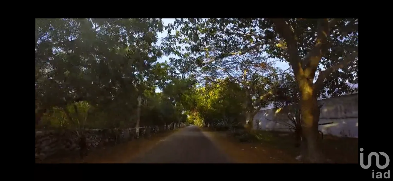 Terreno en Venta en Tixkuncheil, Baca, Yucatán | NEX-268617 | iad México | Foto 7 de 12