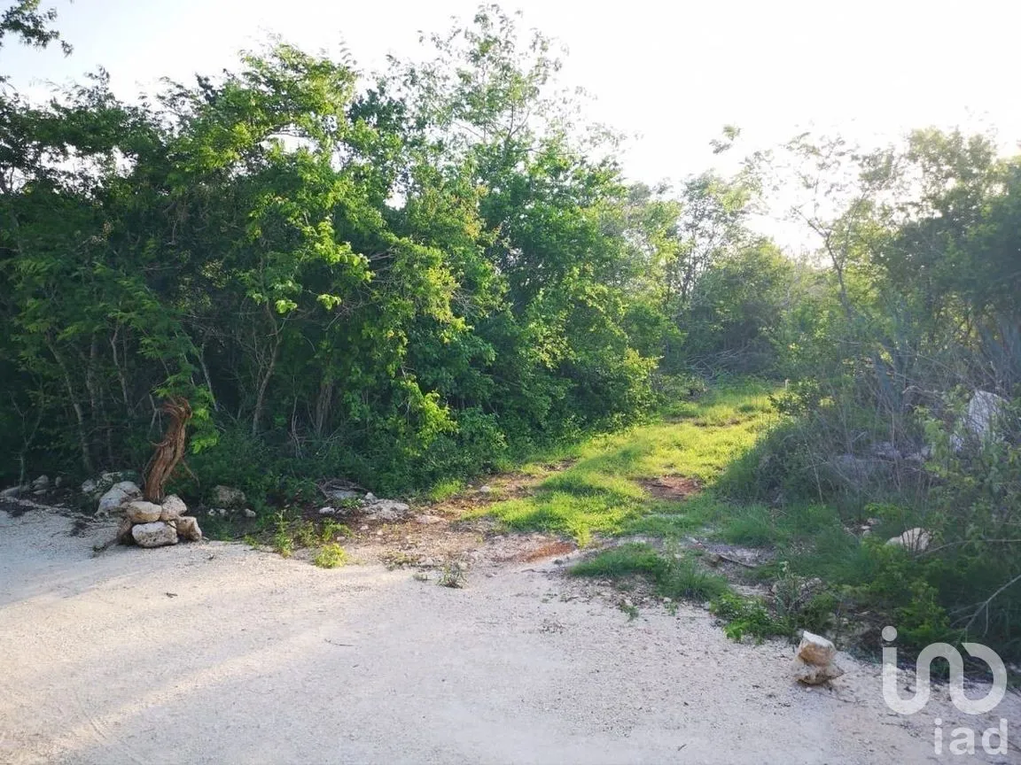 Terreno en Venta en Tixkuncheil, Baca, Yucatán | NEX-268617 | iad México | Foto 10 de 12