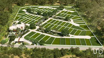 NEX-268618 - Terreno en Venta en Tamanché, CP 97304, Yucatán.