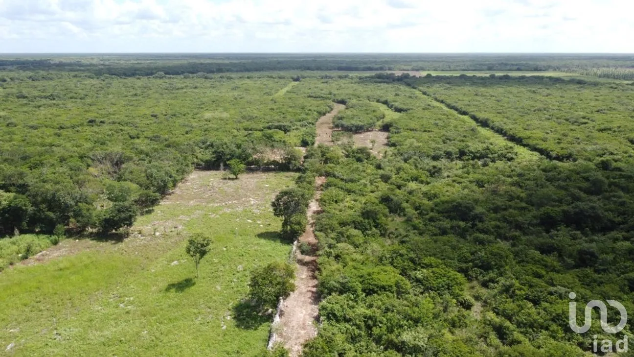Terreno en Venta en Izamal, Izamal, Yucatán | NEX-268624 | iad México | Foto 8 de 9