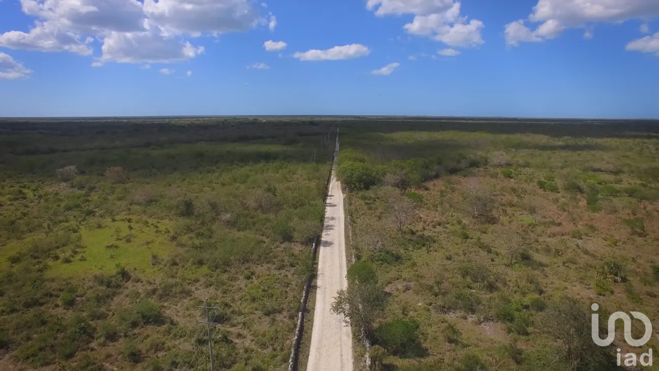 Terreno en Venta en Santa Clara, Dzidzantún, Yucatán | NEX-268632 | iad México | Foto 12 de 20