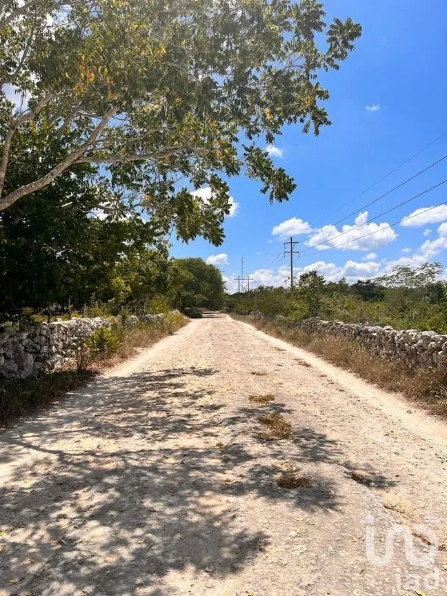 Terreno en Venta en Santa Clara, Dzidzantún, Yucatán | NEX-268632 | iad México | Foto 20 de 20