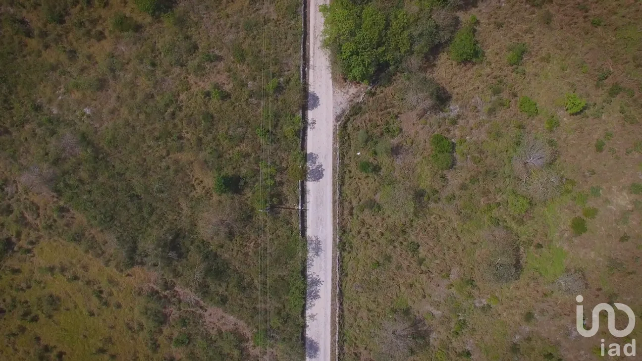 Terreno en Venta en Santa Clara, Dzidzantún, Yucatán | NEX-268632 | iad México | Foto 10 de 20