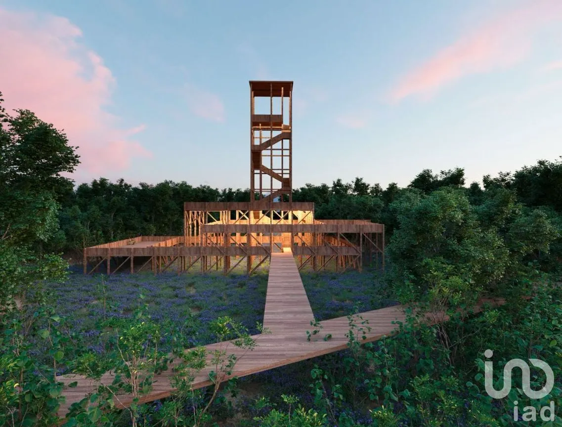 Terreno en Venta en Santa Clara, Dzidzantún, Yucatán | NEX-268636 | iad México | Foto 8 de 12