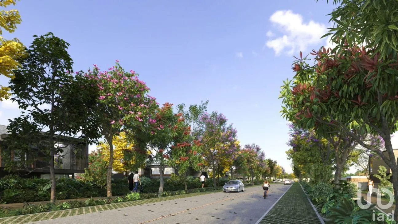 Terreno en Venta en Tamanché, Mérida, Yucatán | NEX-268641 | iad México | Foto 6 de 15