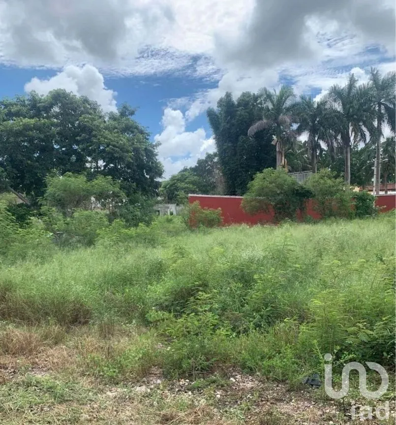 Terreno en Venta en Chichi Suárez, Mérida, Yucatán | NEX-268650 | iad México | Foto 6 de 11