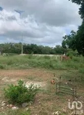 NEX-268650 - Terreno en Venta en Chichi Suárez, CP 97306, Yucatán.