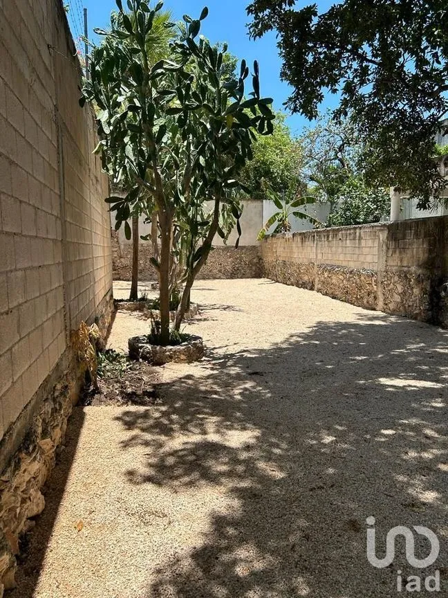 Casa en Venta en Mérida Centro, Mérida, Yucatán | NEX-268661 | iad México | Foto 5 de 30