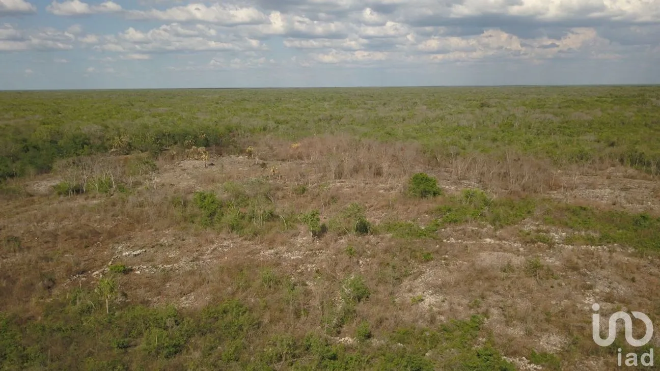 Terreno en Venta en Opichen, Opichén, Yucatán | NEX-268664 | iad México | Foto 14 de 16