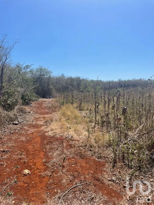 Terreno en Venta en Opichen, Opichén, Yucatán | NEX-268664 | iad México | Foto 4 de 16