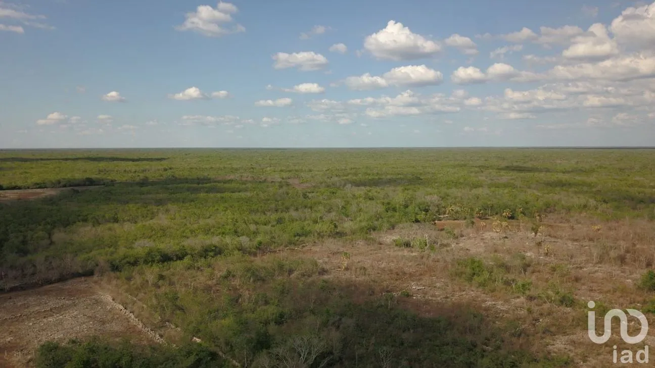 Terreno en Venta en Opichen, Opichén, Yucatán | NEX-268664 | iad México | Foto 1 de 16