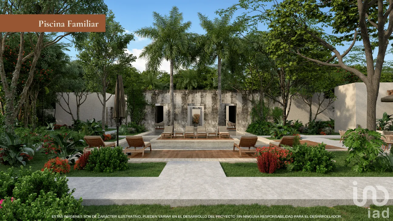 Terreno en Venta en Yalcon, Valladolid, Yucatán | NEX-268671 | iad México | Foto 4 de 6