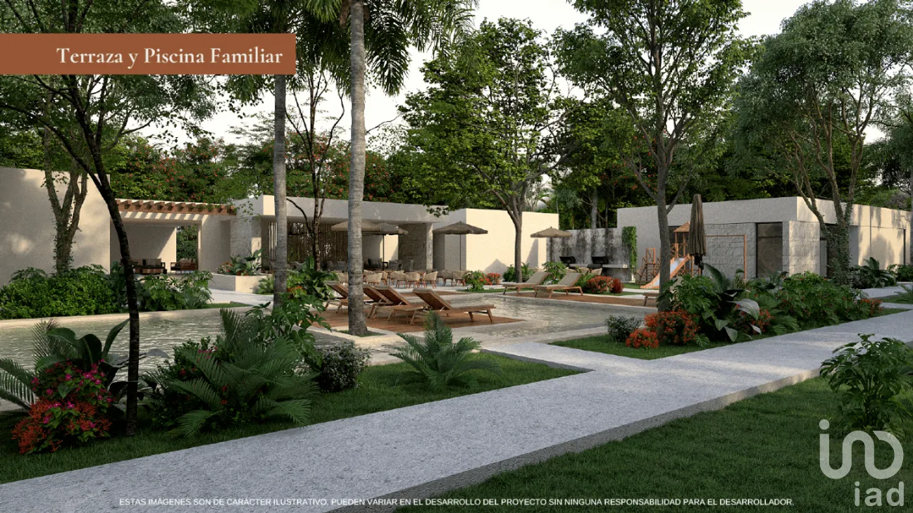 Terreno en Venta en Yalcon, Valladolid, Yucatán | NEX-268671 | iad México | Foto 5 de 6