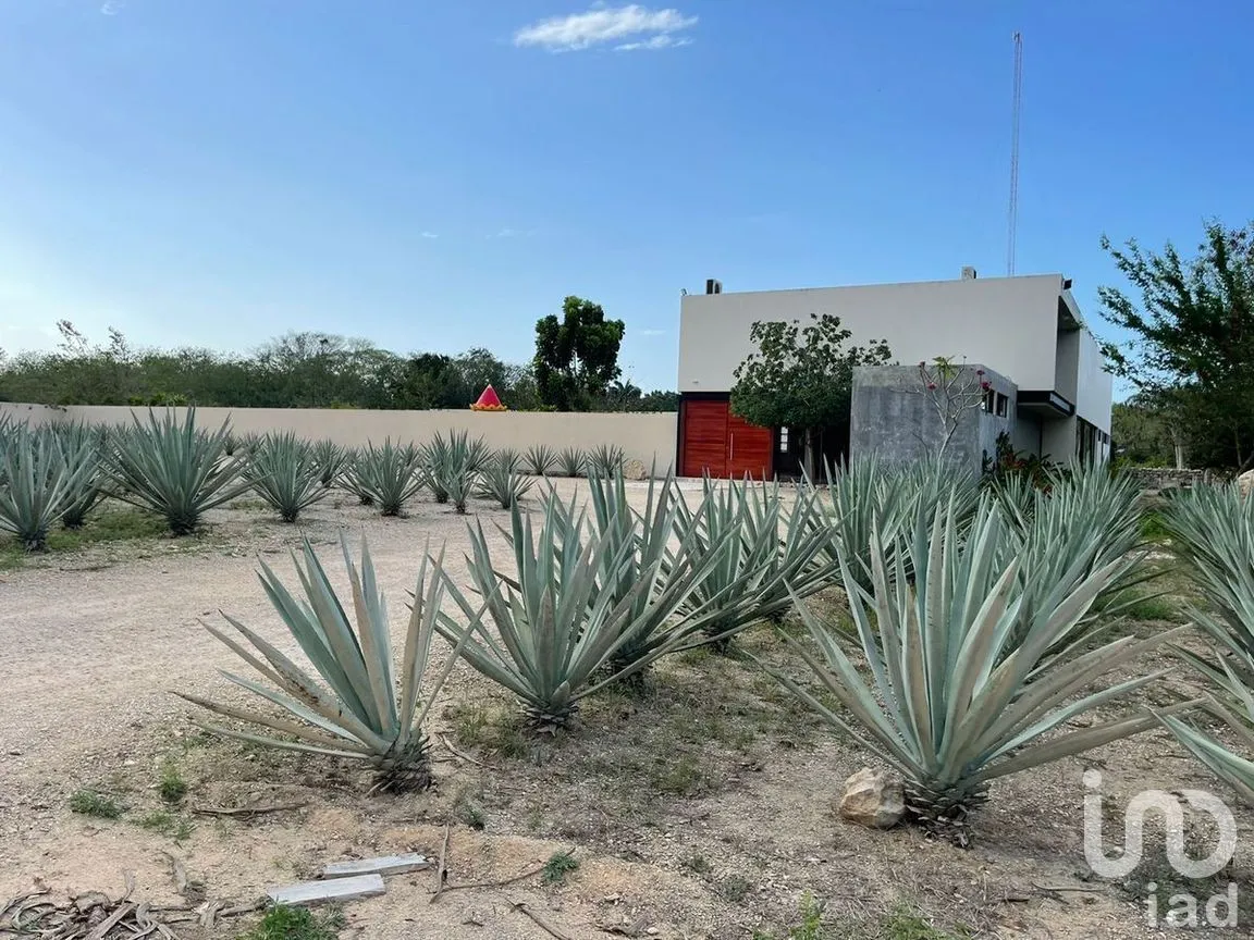 Terreno en Venta en Tixkuncheil, Baca, Yucatán | NEX-268678 | iad México | Foto 4 de 9