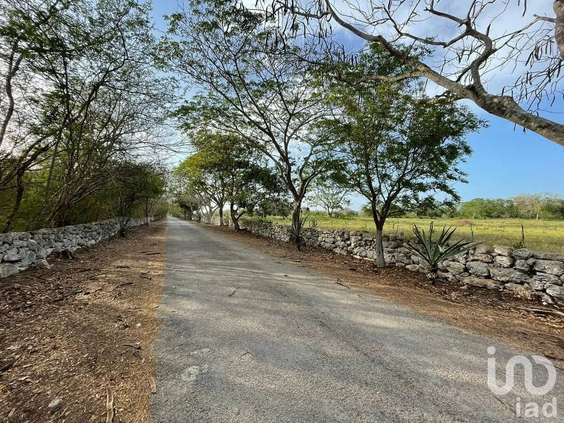 Terreno en Venta en Tixkuncheil, Baca, Yucatán | NEX-268678 | iad México | Foto 5 de 9