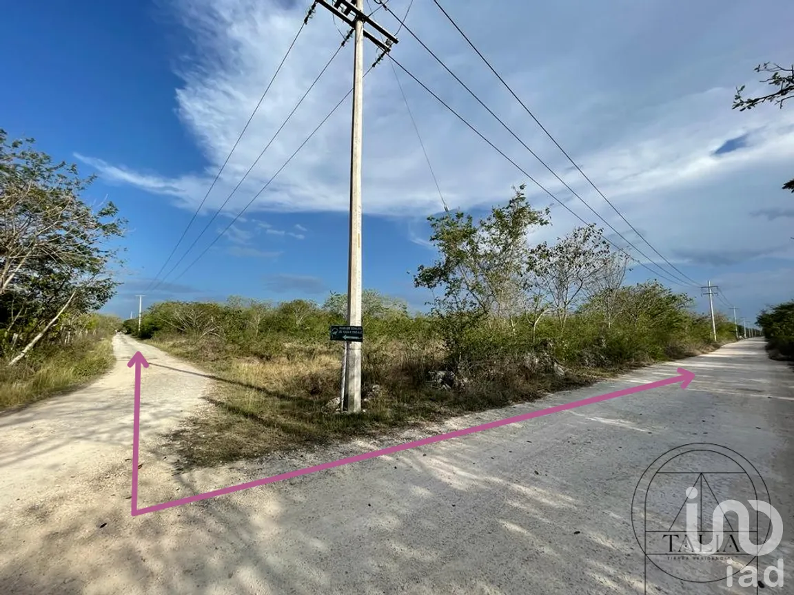 Terreno en Venta en Tixkuncheil, Baca, Yucatán | NEX-268678 | iad México | Foto 6 de 9