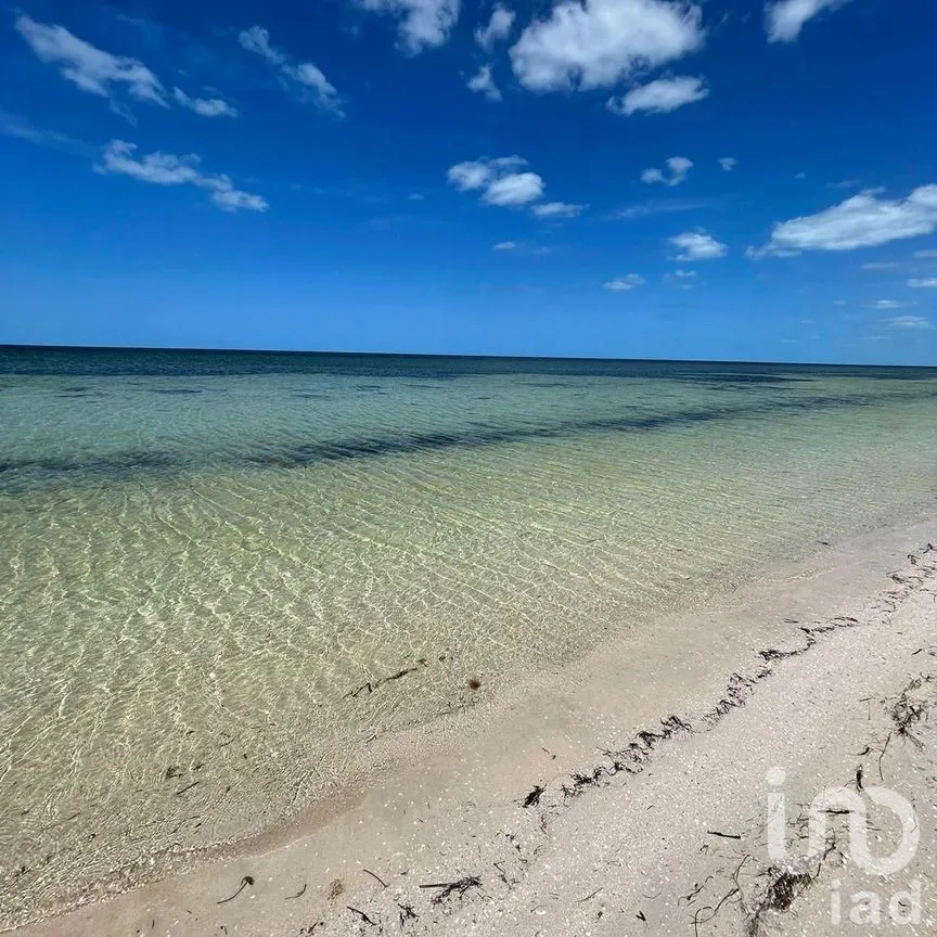Terreno en Venta en Santa Clara, Dzidzantún, Yucatán | NEX-268699 | iad México | Foto 6 de 7