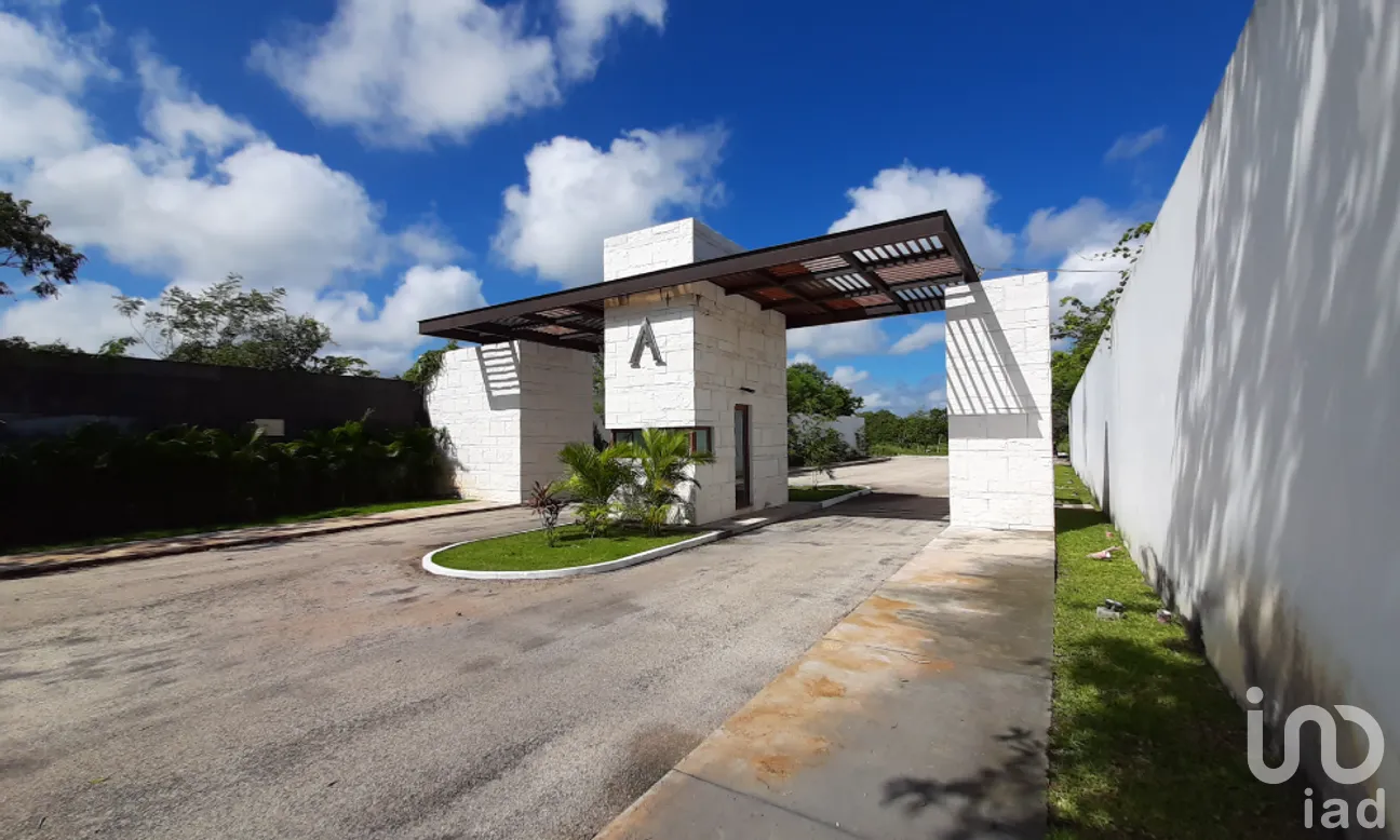 Terreno en Venta en Dzibilchaltún, Mérida, Yucatán | NEX-268715 | iad México | Foto 5 de 13