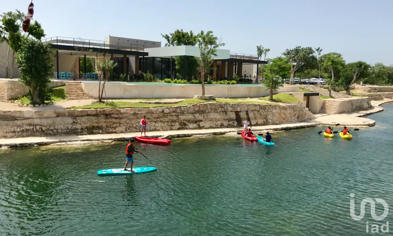 Terreno en Venta en Dzibilchaltún, Mérida, Yucatán | NEX-268715 | iad México | Foto 6 de 13