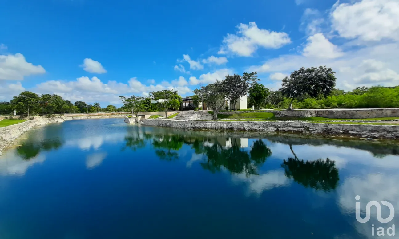 Terreno en Venta en Dzibilchaltún, Mérida, Yucatán | NEX-268715 | iad México | Foto 8 de 13