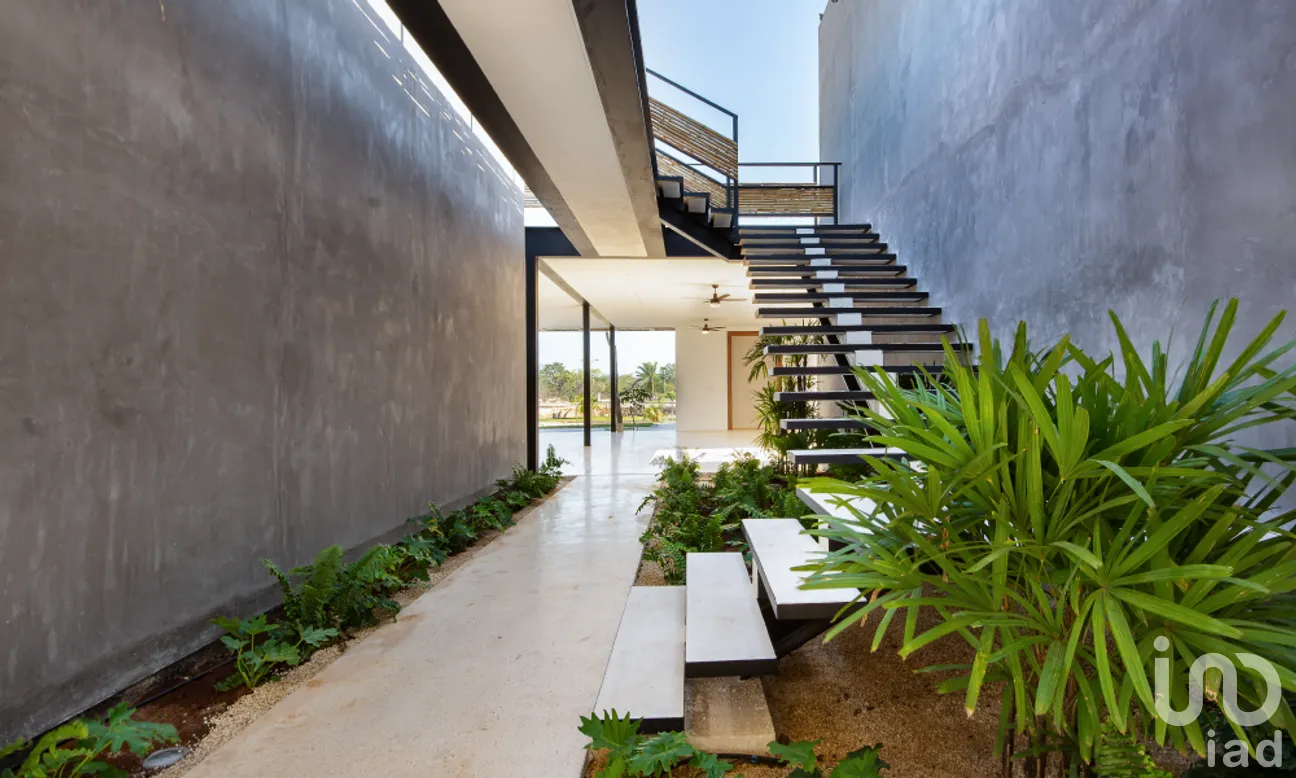 Terreno en Venta en Dzibilchaltún, Mérida, Yucatán | NEX-268715 | iad México | Foto 10 de 13