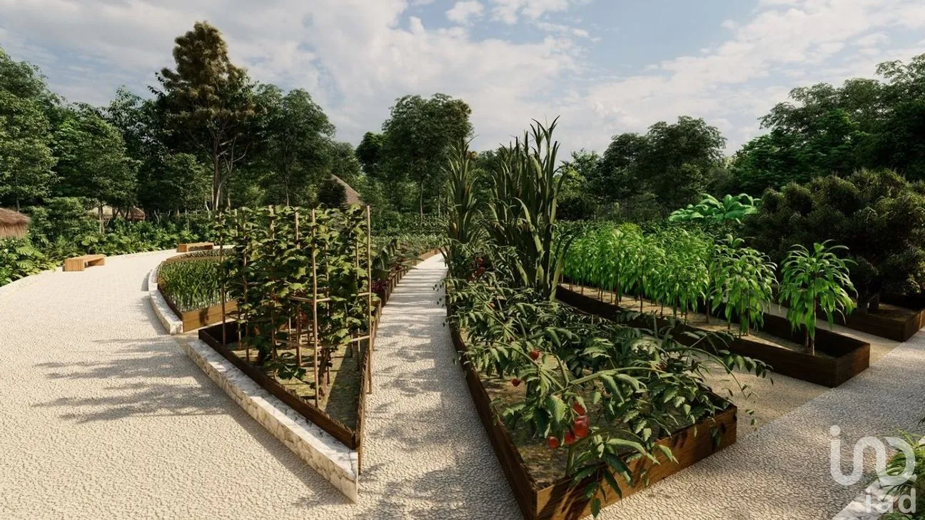 Terreno en Venta en Tulum Centro, Tulum, Quintana Roo | NEX-268718 | iad México | Foto 3 de 19
