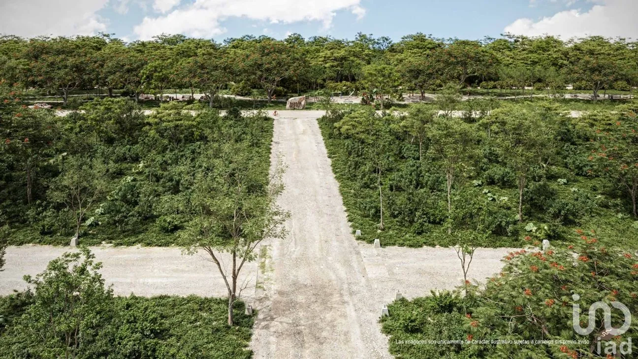 Terreno en Venta en Tixkokob, Tixkokob, Yucatán | NEX-268756 | iad México | Foto 3 de 7