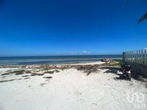 NEX-268759 - Terreno en Venta en San Crisanto, CP 97424, Yucatán.