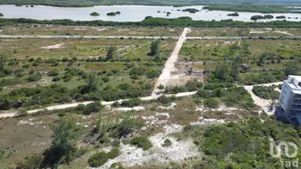 NEX-268794 - Terreno en Venta en Sisal, CP 97356, Yucatán.