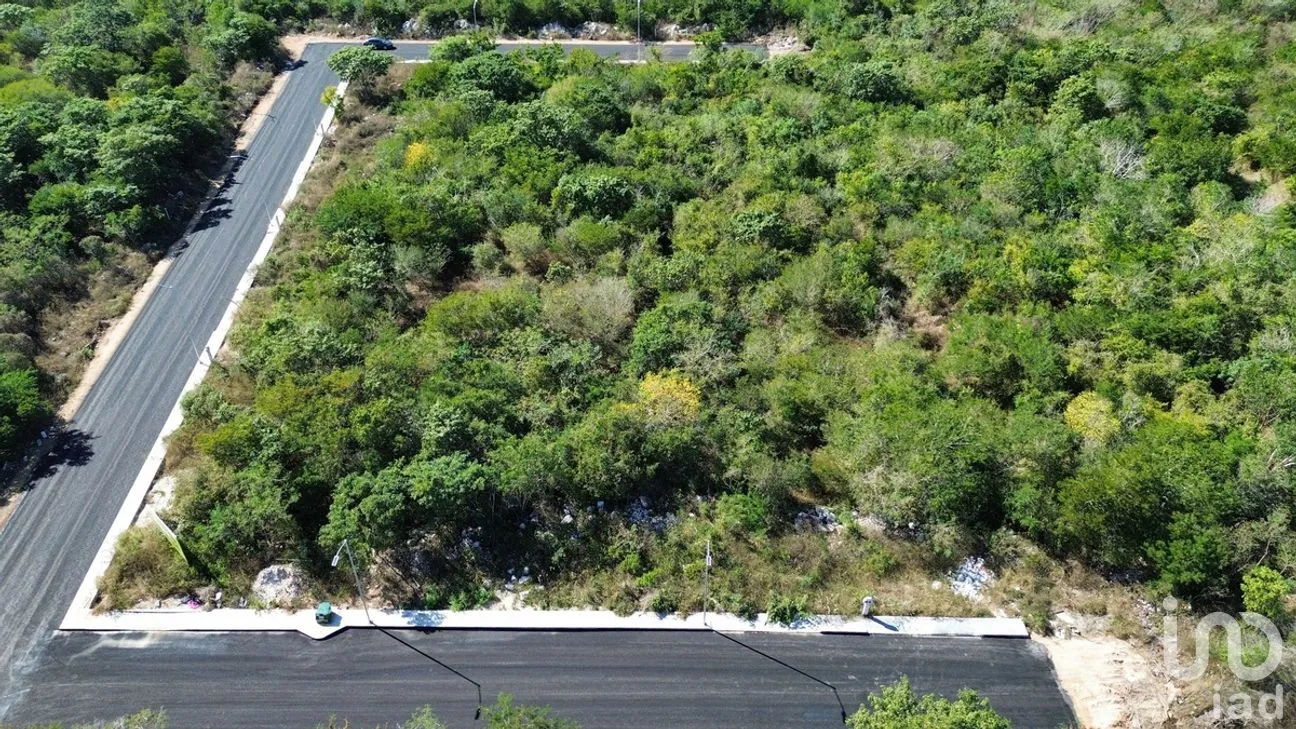 Terreno en Venta en Dzityá, Mérida, Yucatán | NEX-268815 | iad México | Foto 4 de 6