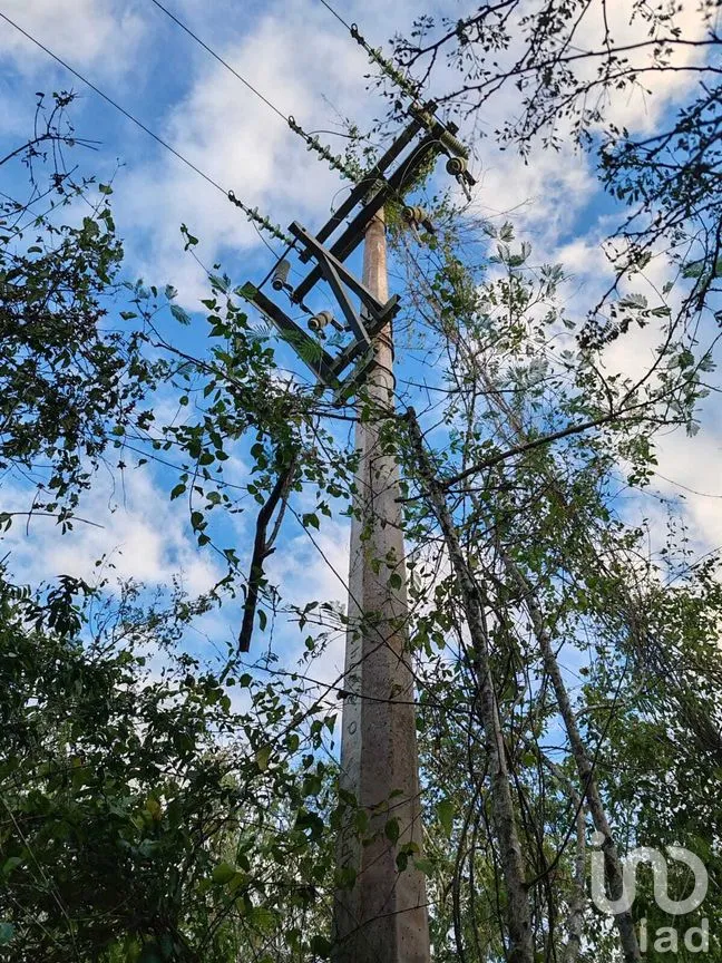 Terreno en Venta en Cansahcab, Cansahcab, Yucat�án | NEX-268883 | iad México | Foto 5 de 7