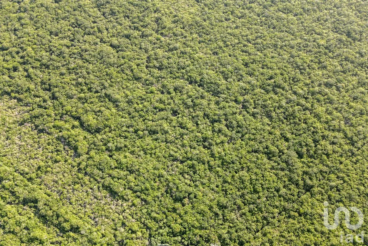 Terreno en Venta en Tixkuncheil, Baca, Yucatán | NEX-268885 | iad México | Foto 5 de 6