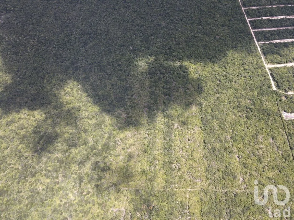 Terreno en Venta en Tixkuncheil, Baca, Yucatán | NEX-268885 | iad México | Foto 6 de 6