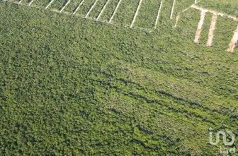 NEX-268885 - Terreno en Venta en Tixkuncheil, CP 97452, Yucatán.
