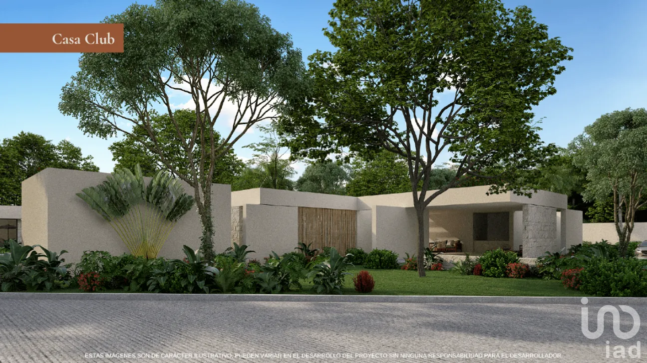 Terreno en Venta en Yalcon, Valladolid, Yucatán | NEX-269787 | iad México | Foto 4 de 8
