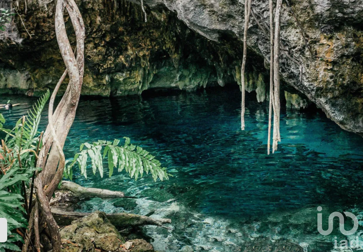 Terreno en Venta en Tulum Centro, Tulum, Quintana Roo | NEX-269793 | iad México | Foto 4 de 5