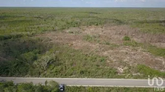 NEX-269958 - Terreno en Venta en Opichen, CP 97813, Yucatán.