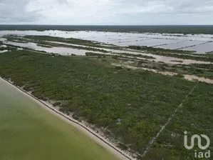 NEX-269960 - Terreno en Venta en San Crisanto, CP 97424, Yucatán.