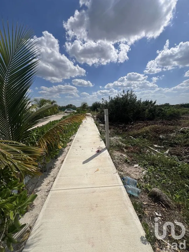 Terreno en Venta en Chelem, Progreso, Yucatán | NEX-270026 | iad México | Foto 8 de 10
