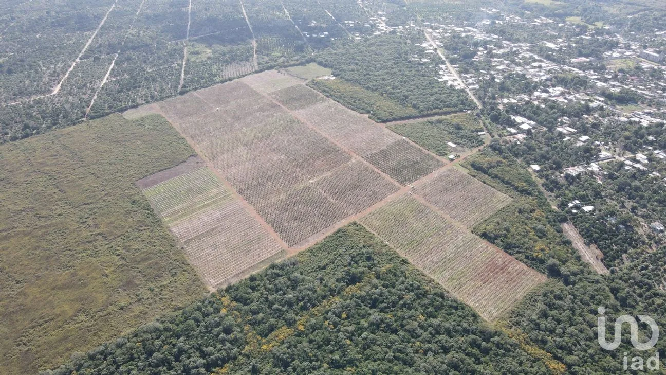 Terreno en Venta en Yotholin, Ticul, Yucatán | NEX-270592 | iad México | Foto 2 de 10