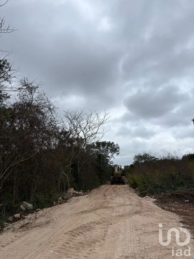 Terreno en Venta en Dzemul, Dzemul, Yucatán | NEX-270593 | iad México | Foto 6 de 7