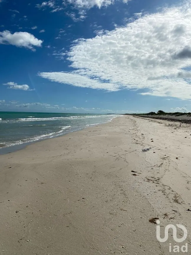 Terreno en Venta en El Cuyo, Tizimín, Yucatán | NEX-271309 | iad México | Foto 3 de 9