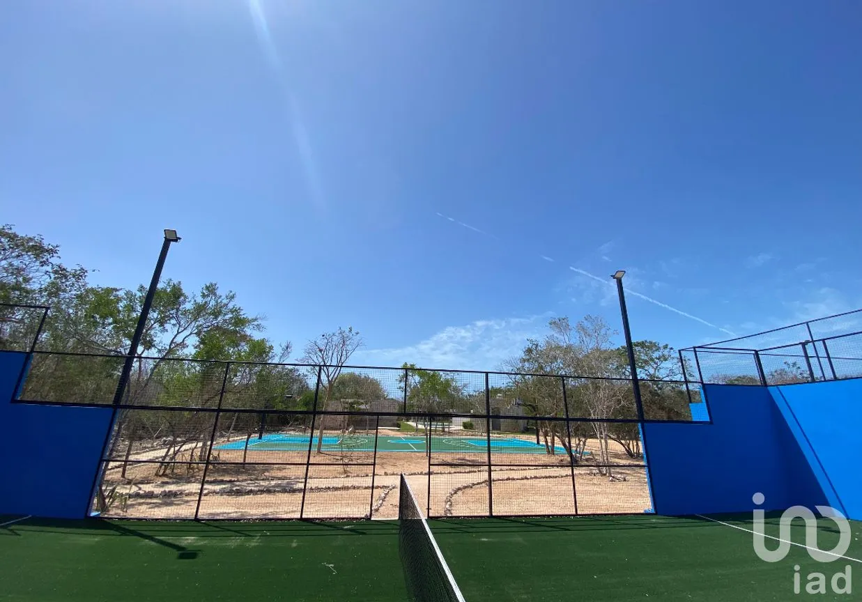 Terreno en Venta en Tamanché, Mérida, Yucatán | NEX-271572 | iad México | Foto 4 de 9
