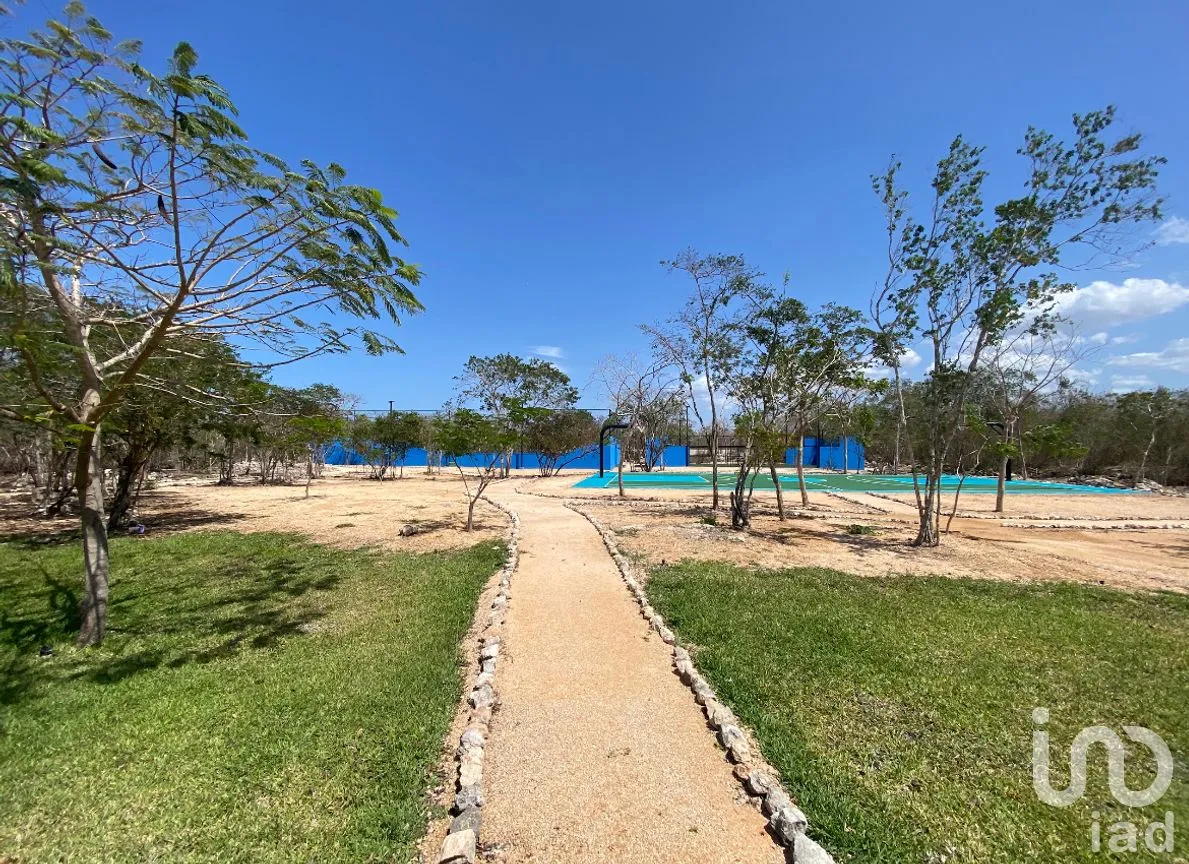 Terreno en Venta en Tamanché, Mérida, Yucatán | NEX-271572 | iad México | Foto 7 de 9