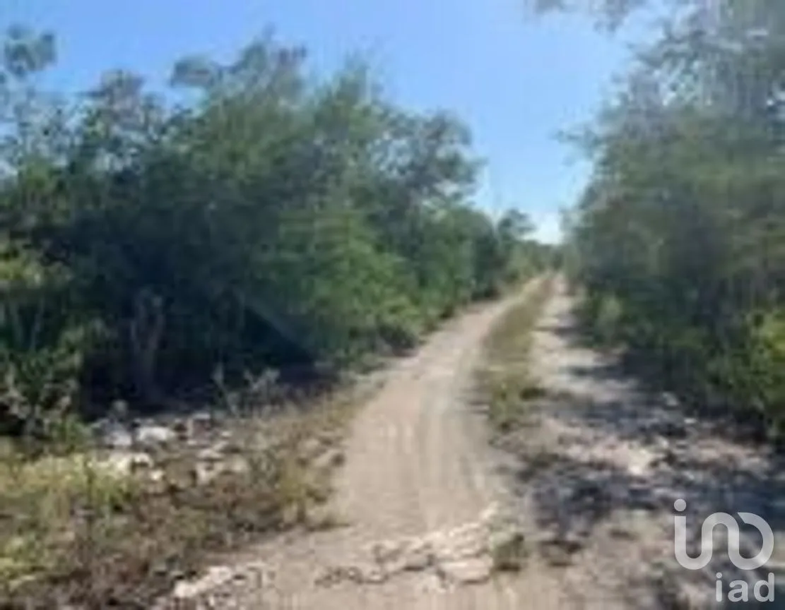 Terreno en Venta en Motul de Carrillo Puerto Centro, Motul, Yucatán | NEX-271804 | iad México | Foto 5 de 5