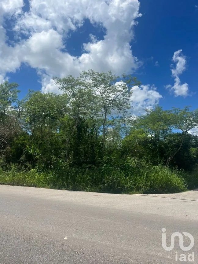 Terreno en Venta en Motul de Carrillo Puerto Centro, Motul, Yucatán | NEX-271873 | iad México | Foto 2 de 7