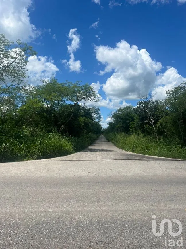 Terreno en Venta en Motul de Carrillo Puerto Centro, Motul, Yucatán | NEX-271873 | iad México | Foto 3 de 7
