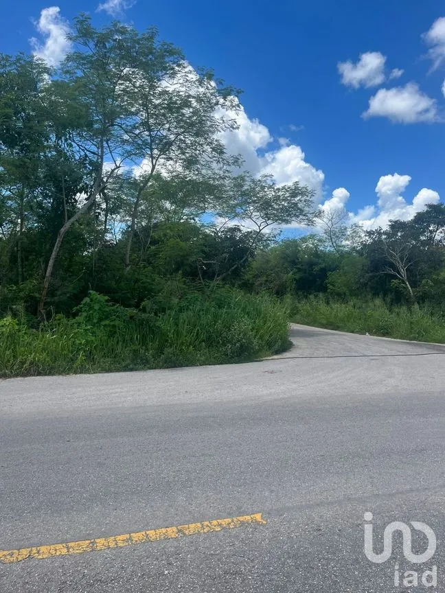 Terreno en Venta en Motul de Carrillo Puerto Centro, Motul, Yucatán | NEX-271873 | iad México | Foto 4 de 7