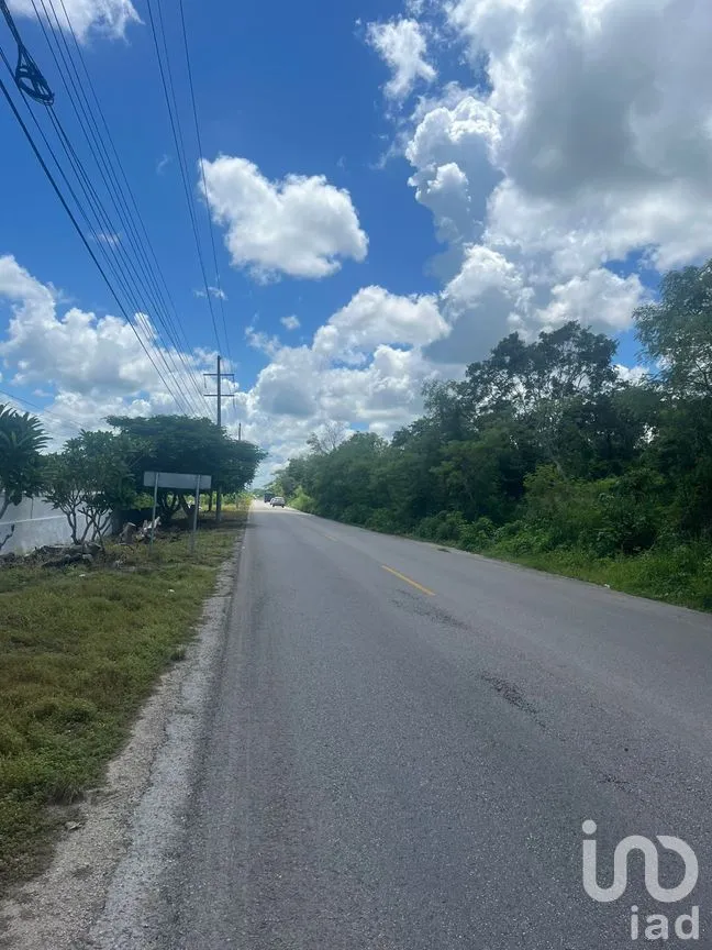 Terreno en Venta en Motul de Carrillo Puerto Centro, Motul, Yucatán | NEX-271873 | iad México | Foto 6 de 7