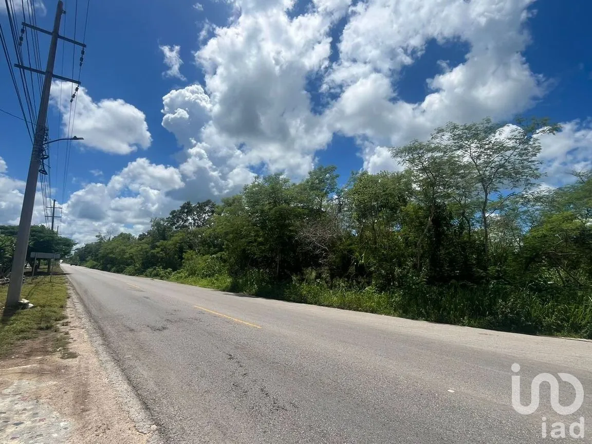 Terreno en Venta en Motul de Carrillo Puerto Centro, Motul, Yucatán | NEX-271873 | iad México | Foto 7 de 7